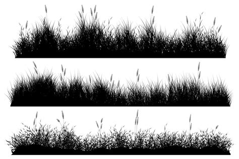 grass ground. long grass silhouette. summer grass 9765670 Vector Art at Vecteezy