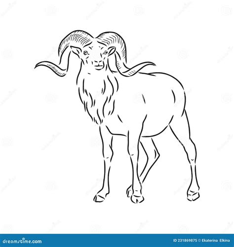 Large Goat Horns Screwed Shape from Back, Sketch Vector Drawing in ...