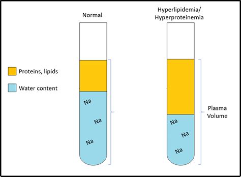 Case 29: Diagnosis & Conclusions