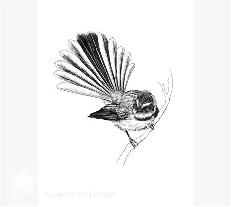 Fantail Illustration / INSTANT DOWNLOAD / Printable Art / Home Decor / Black Ink Drawing ...