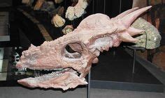 Dinosauria 1 : Stygimoloch | dinosaure, paleontologie, animaux préhistoriques