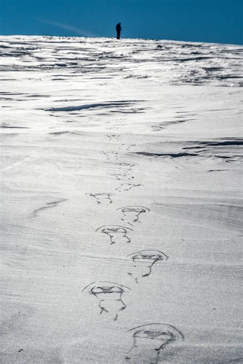 Snowshoes Footprints on Frozen Snow, Alps, Austria Stock Photo - Image ...