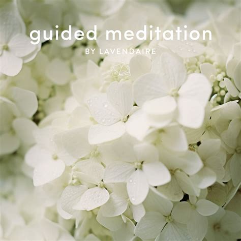 10 Minute Guided Meditation for Positivity, Gratitude & Joy - Lavendaire