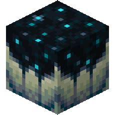 Sculk Catalyst – Minecraft Wiki