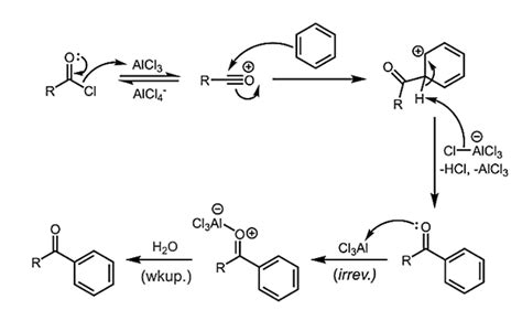 Friedel Crafts Reaction - What is the mechanism of alkylation and ...