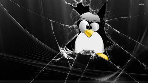 Tux through broken window, linux, 1920x1080 HD Wallpaper and FREE