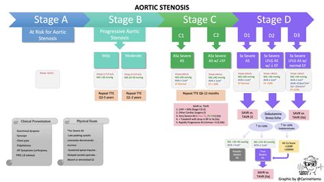 Aortic Stenosis - A practical approach presented by the CardioNerds