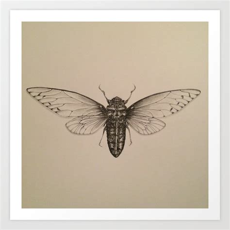 Cicada Drawing Art Print by Redmonks | Society6