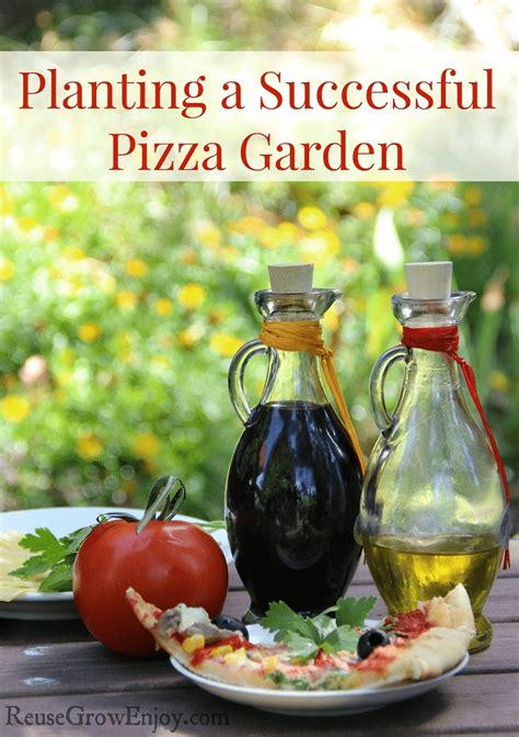 Planting A Successful Pizza Garden