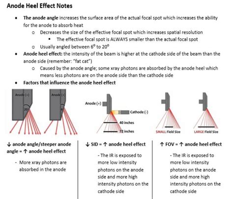 Anode Heel Effect Notes | Radiology imaging, X ray, Radiography