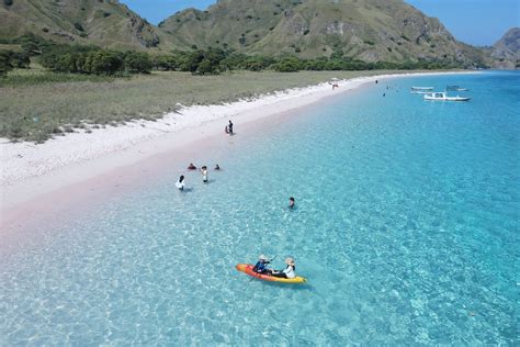 pink beach in komodo national park area - Flores Komodo Packages, Bali Komodo Dragon Tour, Rinca ...