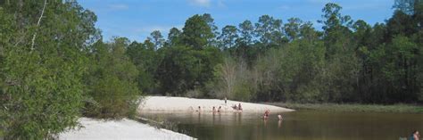 Hiking Blackwater River State Park | paddling, camping | Florida Hikes