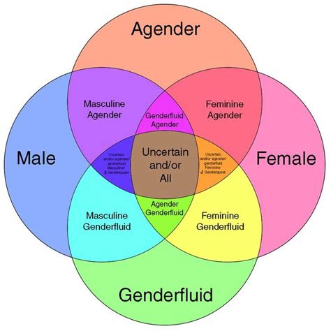 Gender Identity Infographic