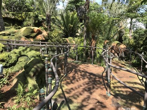 Avatar Flight of Passage in Pandora the World of Avatar at Disney's Animal Kingdom - Photo Gallery