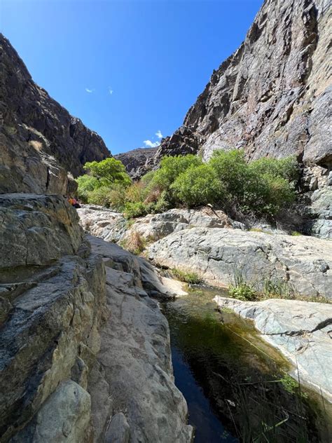 Darwin Falls Hike In Death Valley - Follow Tiff's Journey | Hiking and Backpacking Adventures