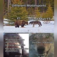 What Is The 'Staring Bear And Wolf' Meme? The Origins Of The 'Blursed' Image Explained | Know ...