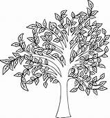 Coloring Pages Of Autumn Trees  sketch template