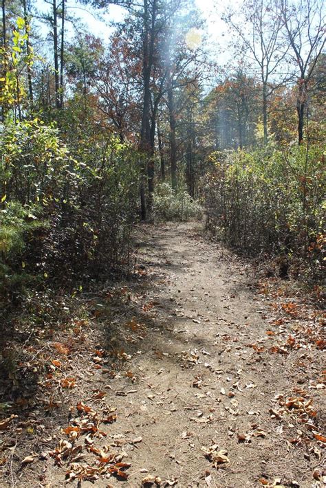 Black Creek Trails, located at Noccalula Falls Park, is a perfect place to spend a day hiking ...