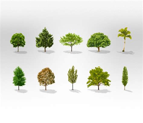 Free Vector Trees Collection