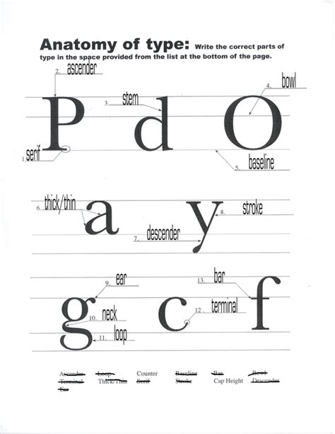 Typography worksheet - 49685