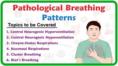 Pathological breathing / Abnormal breathing patterns : Kussmaul, Cheyne ...