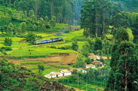 Ooty Hill Station | Things to do in Ooty | Ooty Tourist Spots | Doddabetta