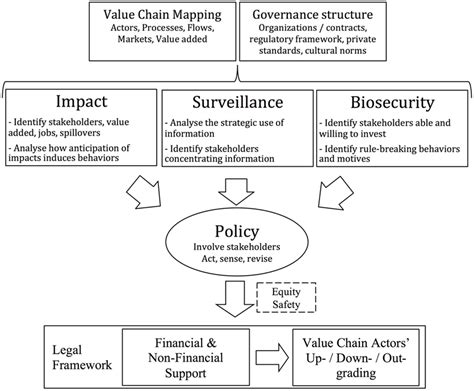 Frontiers | The Value Chain Approach in One Health: Conceptual Framing and Focus on Present ...