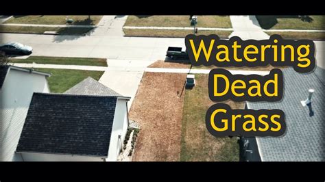 Watering a Dead Lawn Before Reseeding - Lawn Renovation Step 2 - YouTube