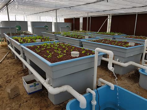 Aquaponics Grow Beds and Filter Tanks | Ajay Fibreglass