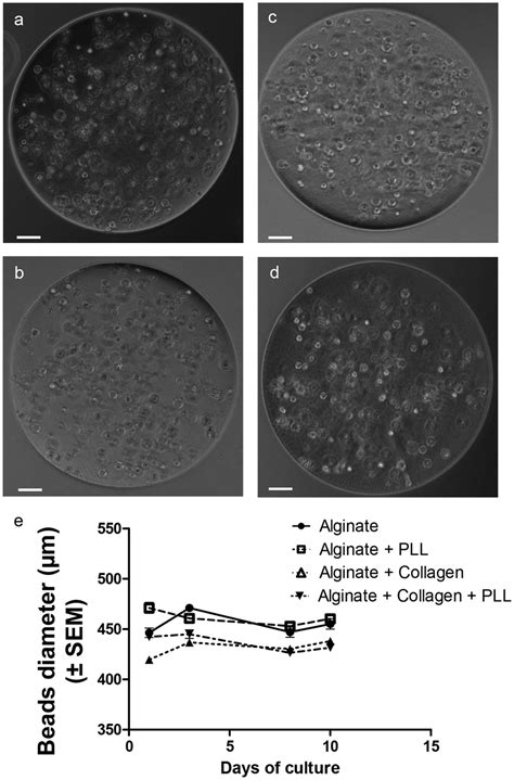 Beads obtained with the different material conditions. (a) alginate,... | Download Scientific ...