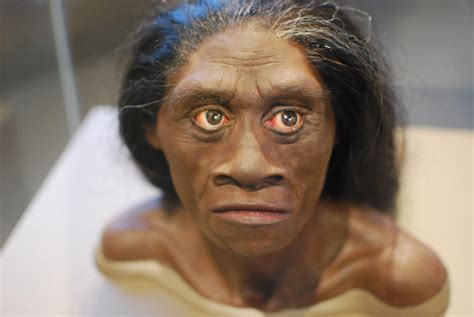 Homo Floresiensis - World History Encyclopedia