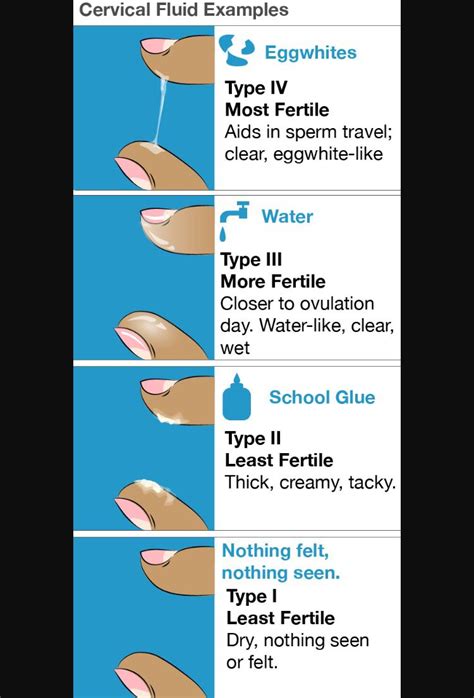 Not fertile to fertile - CM check | Fertility, Pregnancy help, Fertility awareness