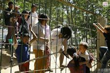 Myanmar Border Fence - Great Wall of the South