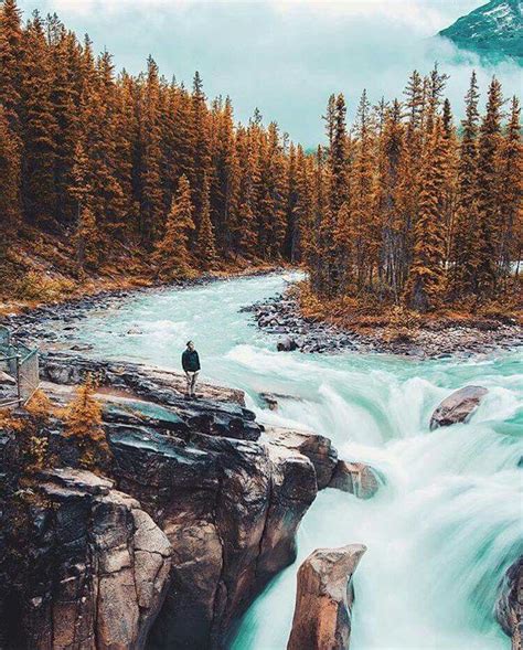 Sunwapta falls, Jasper national park. | National parks photography ...