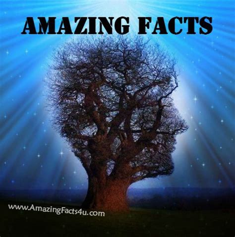 Amazing Facts Amazing Facts 4 u