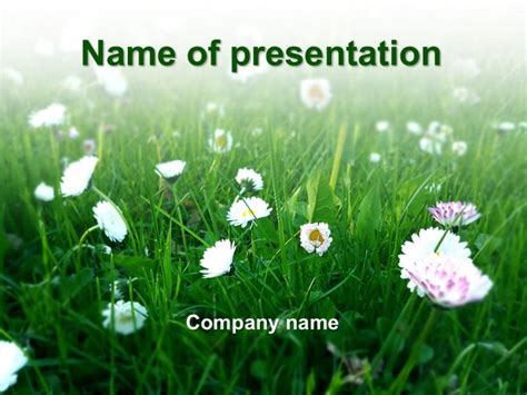 Free Powerpoint Templates Spring