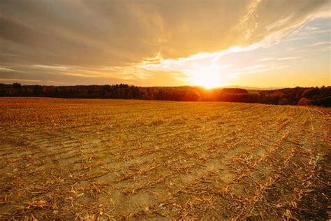 Sunset over a corn field that has been harvested with dramatic clouds ...