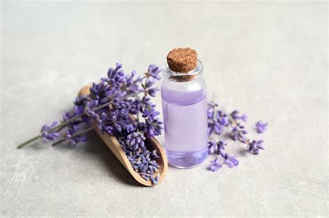 What Is Lavender Oil and How Is It Used in Skincare?