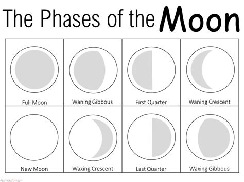 Printable Oreo Moon Phases Worksheet - Printable Templates