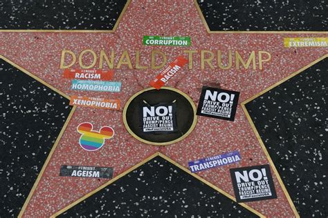 Donald Trump's Hollywood Walk of Fame star destroyed by pickax wielder.