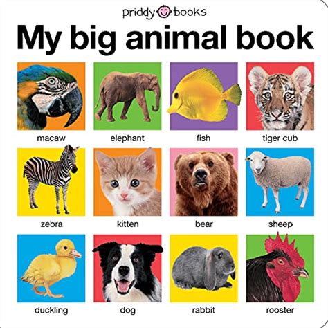 My Big Animal Book By Roger Priddy | Used | 9780312511074 | World of Books