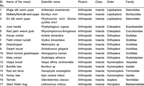 Classification of the edible insects. | Download Scientific Diagram