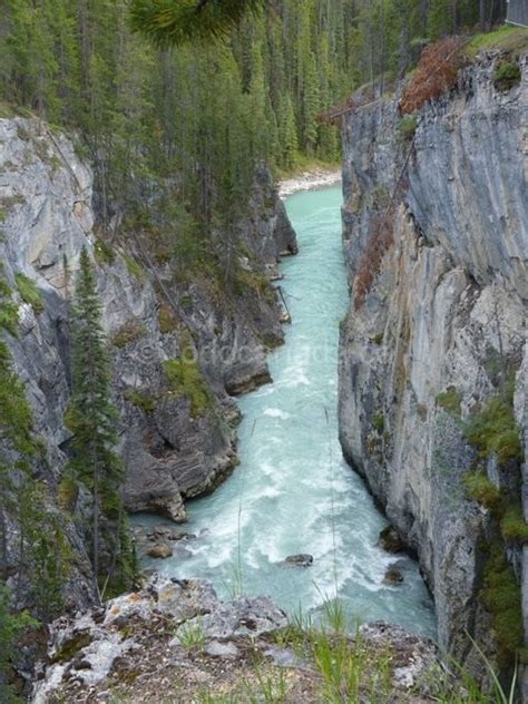 Sunwapta Falls Jasper National Park | To Do Canada