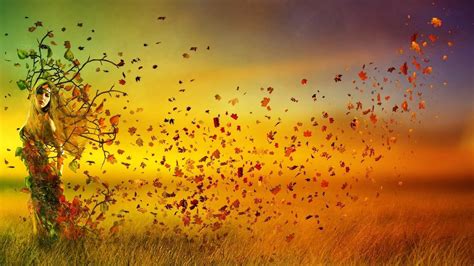 Autumn Sunset HD desktop wallpaper : Widescreen : High Definition ...