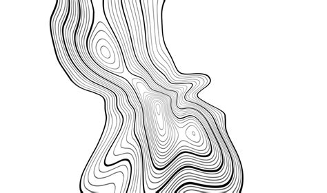 Topographic Map With Grey Contours And Elevation Lines Vector, Hiking, Physical, Background PNG ...