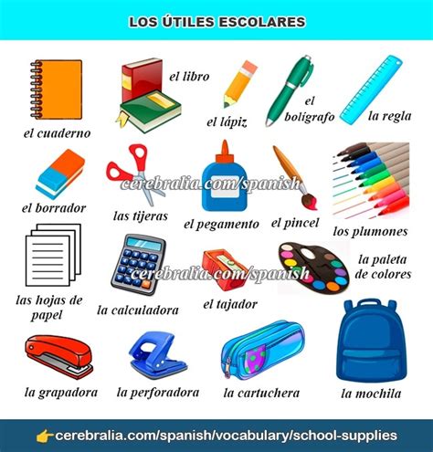 🥇【 SPANISH VOCABULARY: SCHOOL SUPPLIES 】 ️