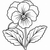 60 Beautiful Pansy Coloring Pages Free Printable PDF sketch template
