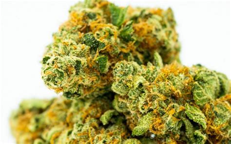 15 Best Weed Strains | 5 Best Marijuana Strains of each Kind