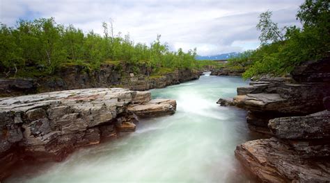 Abisko National Park Tours - Book Now | Expedia