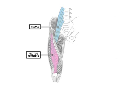 6 PVC Pipe Shoulder Mobility Exercises | PVC Pipe Stretches